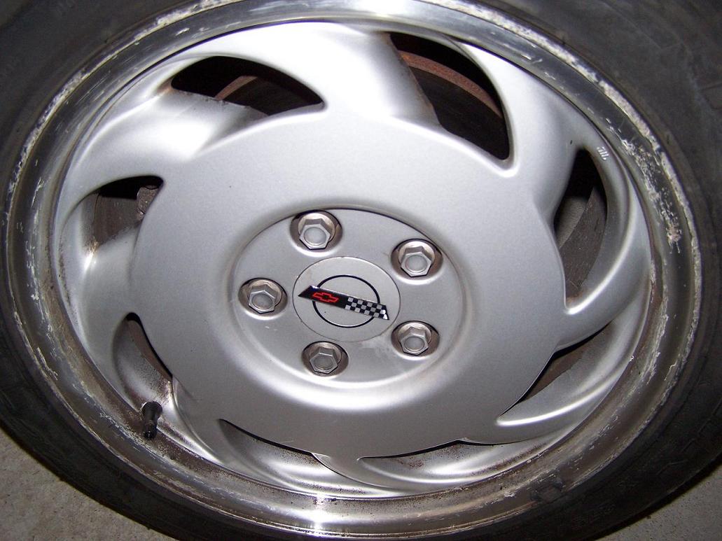 Copie de 100_0803.JPG