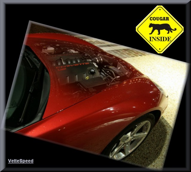 coug110.jpg (105.01 KiB) Viewed 9633 times coug110.jpg