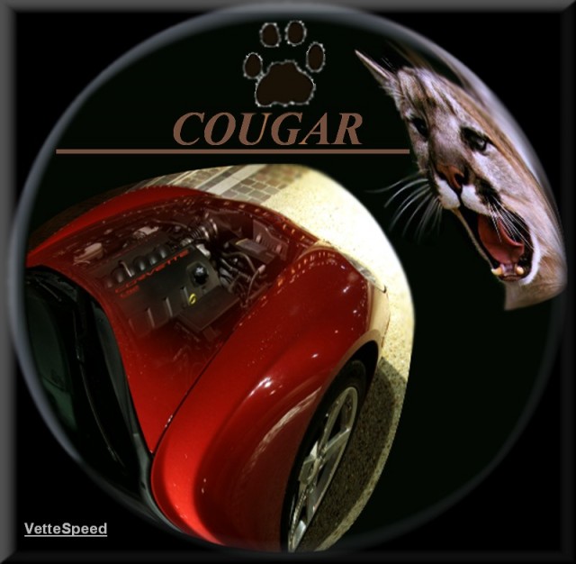 coug210.jpg (96.88 KiB) Viewed 12091 times coug210.jpg
