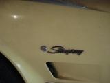Stingray 1974 005.jpg