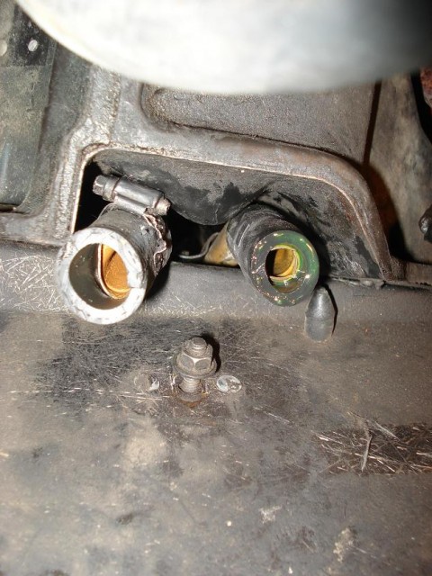 Photo 2.JPG