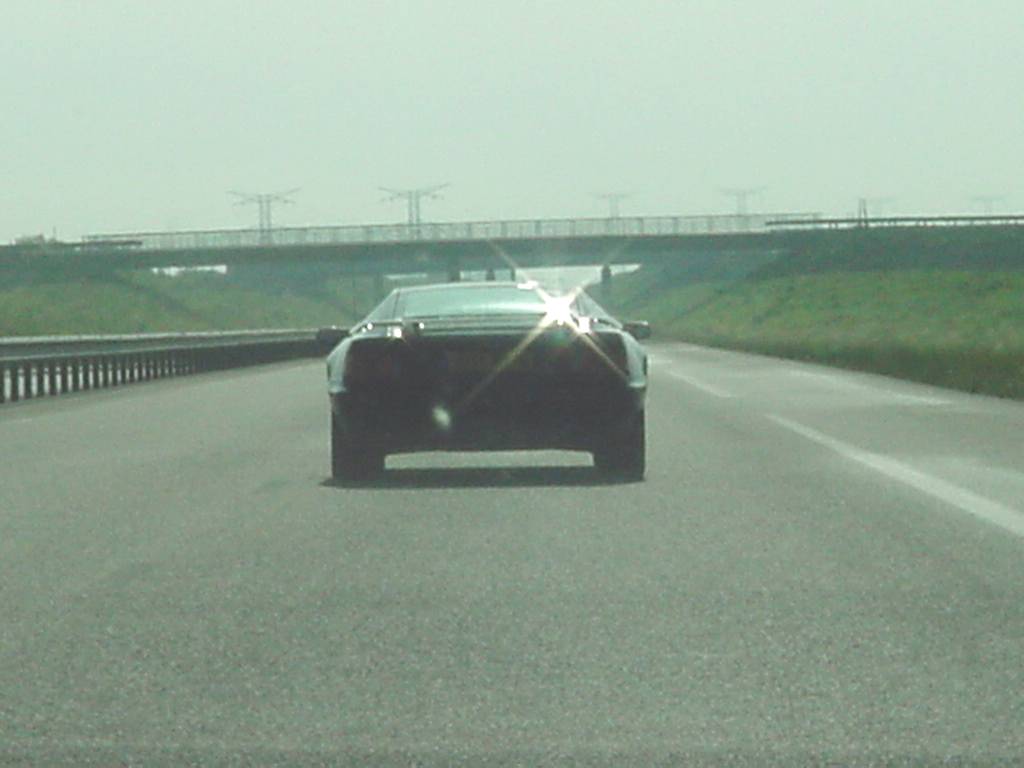 Lotus 5.JPG
