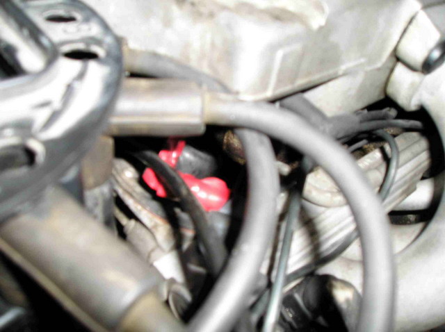 P7063024_redimensionner.jpg