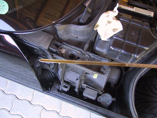 Photo.jpg