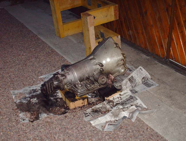 BA245small.JPG