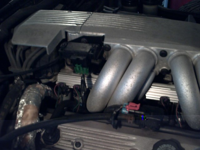 PICT0015.JPG