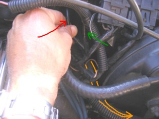 image 3.jpg