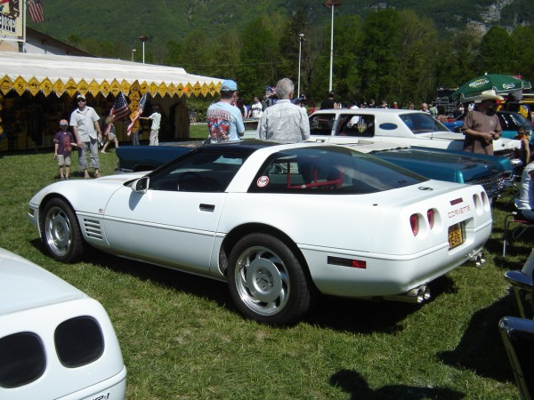 DSC05005 (600 x 450).jpg