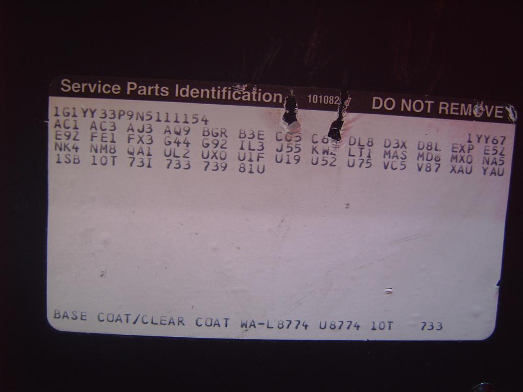 Copie de Photo 011.jpg
